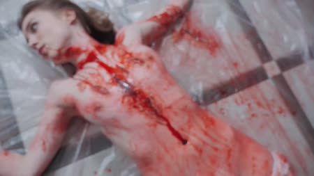 Crime House - BLOODY WEDDING DAY Crime House - BLOODY WEDDING DAY